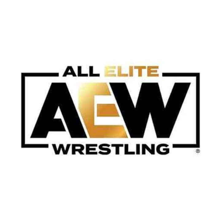 All Elite Wrestling Net Worth & Earnings (2024)