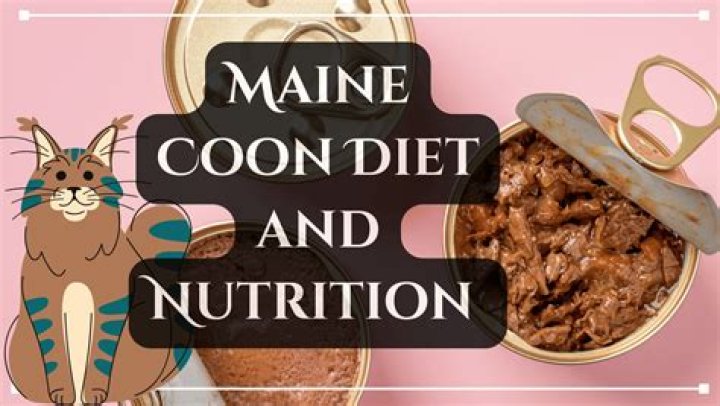 Carrie Coon Diet Plan