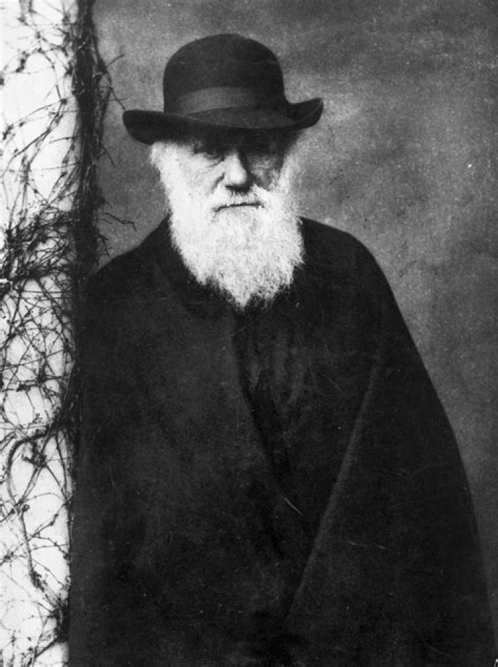 Charles Darwin Biography - Facts, Childhood, Family Life & Achievements
