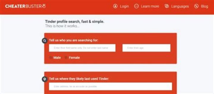 CheaterBuster video statistics