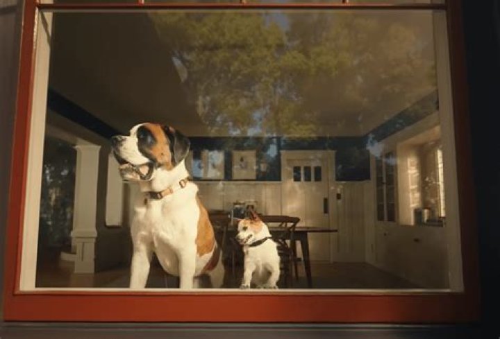 Chewy Peanut Butter Box Commercial: Voices, Giorgio and Ralph