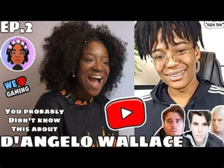 D'Angelo Wallace Youtuber overview