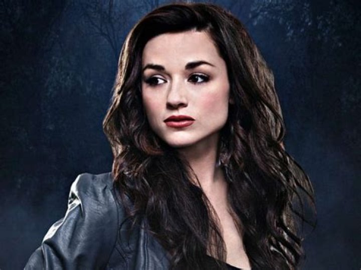 Does Allison Argent Come Back To Life? – Celebrity