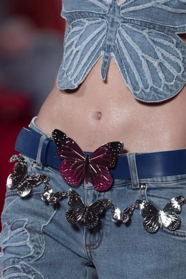Dua Lipa Wears Butterfly Crop Top Sharing "Big Batch of Blessins" — Celebwell