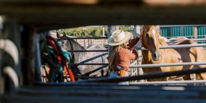 GoFundMe: Tiktoker Emmie Sperandeo Injured in a Horse Accident