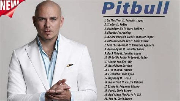 
How Much Money Does Pitbull (rapper) Make? Latest Income Salary
