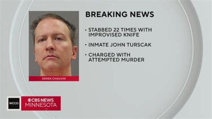John Turscak (Derek Chauvin’s Stabbing Suspect) Wiki, Age, Wife, Parents, Criminal History & More