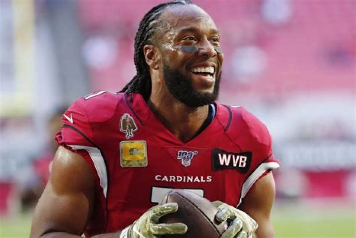 Larry Fitzgerald Biography - Facts, Childhood, Family Life & Achievements
