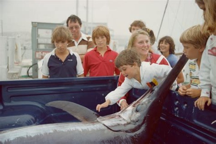 Laura Lee - Bio, Facts, Family Life of YouTuber