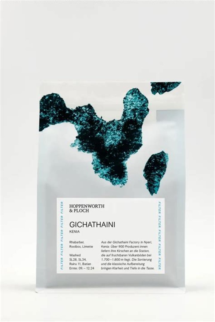 Matthias Schoenaerts Net Worth