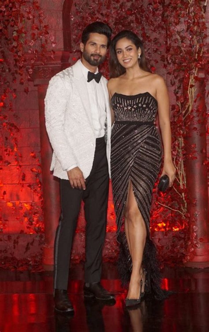 Mira Rajput in Bathing Suit Has "Sunny Vibe"  — Celebwell