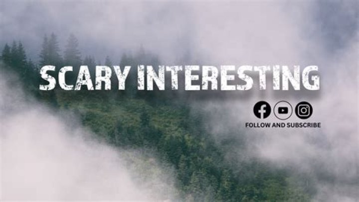 Scary Interesting video statistics