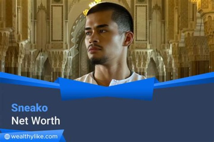 SNEAKO Net Worth & Earnings (2024)