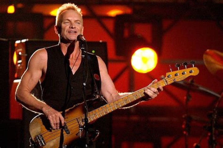 Sting Biography - Facts, Childhood, Family Life & Achievements of English Musician & Singer