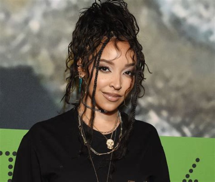 Tinashe in Bathing Suit Shares a Special Selfie — Celebwell