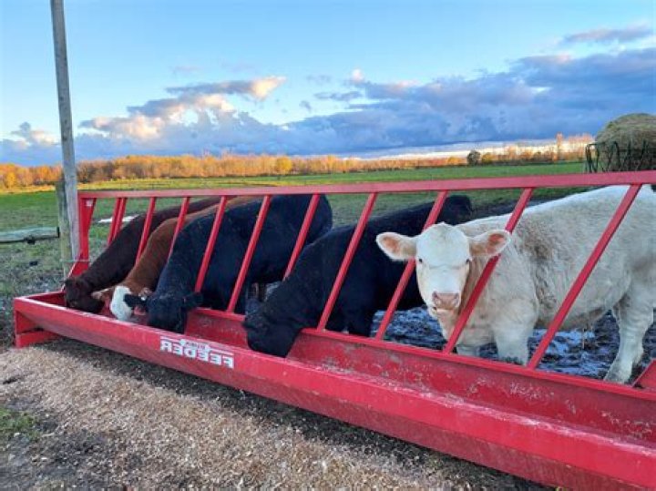 Warren Bippert Obituary, Owner of WBB Farm