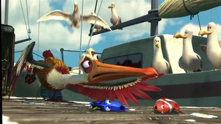 What is the bird in Finding Dory? – Celebrity